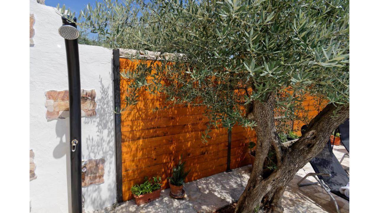 Holiday Home Vlady By Rent Istria Buje Εξωτερικό φωτογραφία